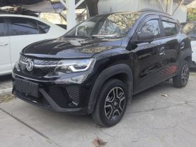 东风纳米EX1 2022款 PRO 虎曜版进阶型