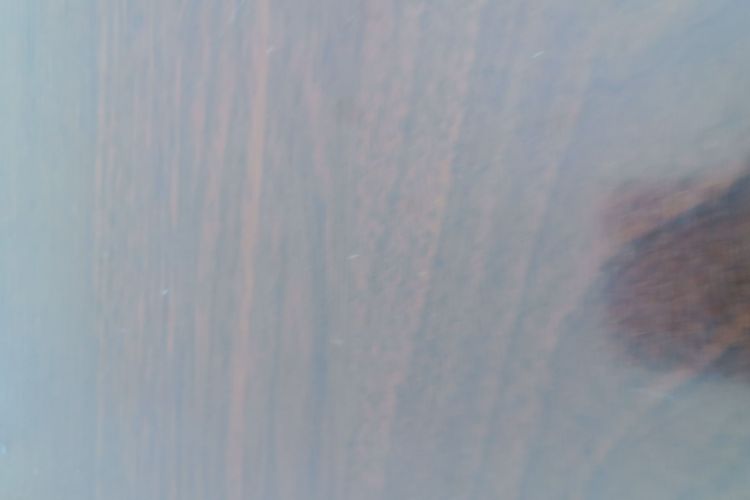 上汽大通MAXUS 大家5 2022款 1.3T PLUG IN 乐享版 七座局部细节9003