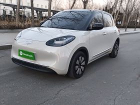 五菱汽车 五菱缤果 2023款 410km 灵犀尊享款