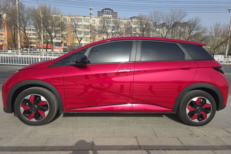 比亚迪 海豚 2025款 420km 自由版车身外观6002