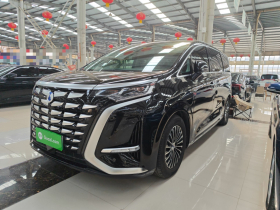 腾势D9 2024款 DM-i 980 四驱尊荣型