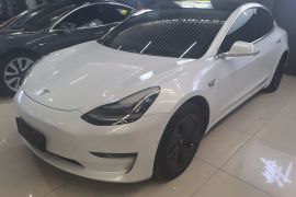 特斯拉 Model 3(进口) 2019款 长续航全轮驱动版
