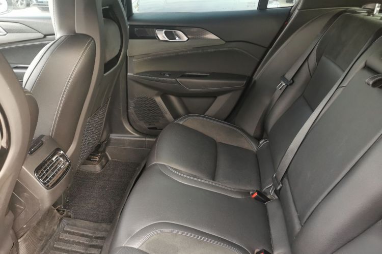 领克03 2021款 1.5TD DCT劲 冠军版局部细节9009