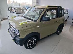 吉利银河 2025款 210km 熊猫骑士