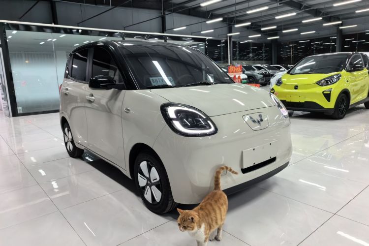 五菱汽车 宏光MINIEV 2025款 四门版 进阶款车身外观6002