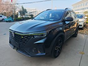 荣威RX5新能源 2021款 ePLUS 国潮荣麟豪华版