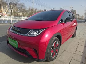 比亚迪 海豚 2025款 420km 自由版