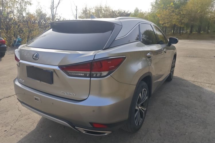 雷克萨斯RX 2020款 改款 300 四驱典雅版车身外观6003