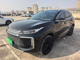 星途凌云 2024款 300T 两驱星耀版