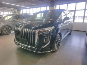 红旗HQ9 2024款 2.0T 豪华版福祉版