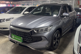 比亚迪 宋Pro新能源 2023款 冠军版 DM-i 110KM卓越型