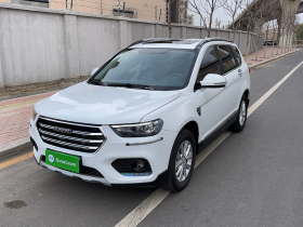 哈弗H6 2021款 运动版 1.5T 自动精英智联型 六边形格栅