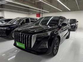 红旗HS5 2023款 2.0T 旗享Pro版