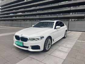 宝马5系(进口) 2020款 530i M运动套装