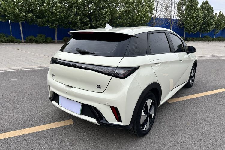 比亚迪 海豚 2023款 420km 自由版车身外观7