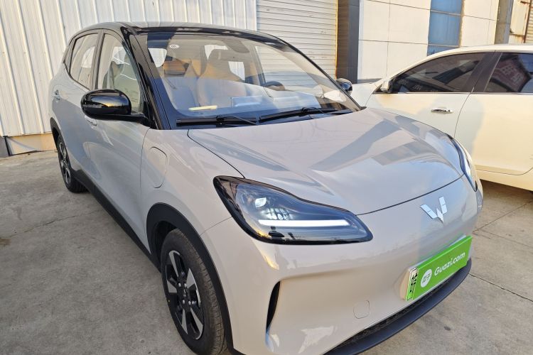 五菱汽车 五菱缤果PLUS 2024款 330km 五座版车身外观6002