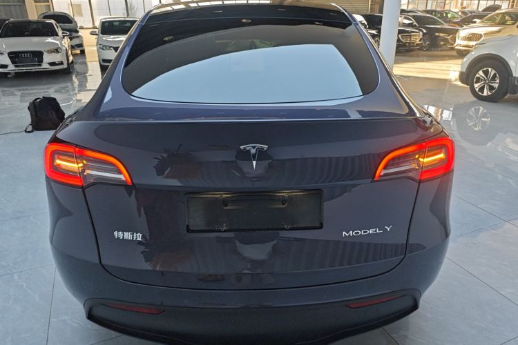特斯拉 Model Y 2021款 长续航全轮驱动版车身外观6004