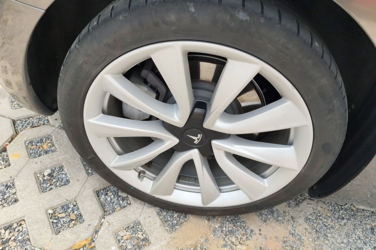 特斯拉 Model 3 2019款 标准续航后驱升级版车身外观6006