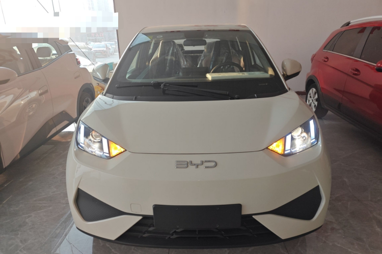 比亚迪 海鸥 2025款 智驾版 305km 活力版车身外观6001