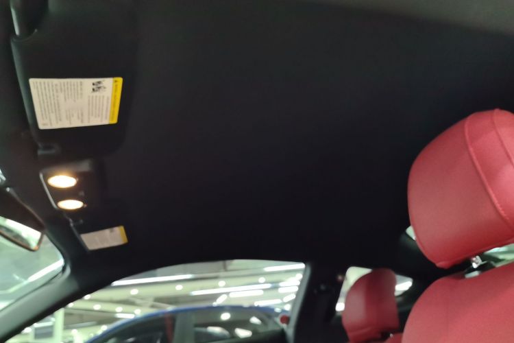 福特Mustang（平行进口） 局部细节22