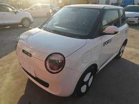 长安启源 长安Lumin 2023款 205km 香沁款