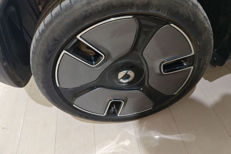 smart精灵#1 2024款 灵动豪华版车身外观6008