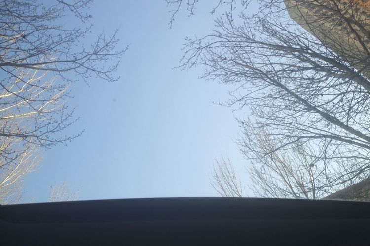 福特 领睿 2022款 改款 EcoBoost 170 尊领型PLUS中控内饰22