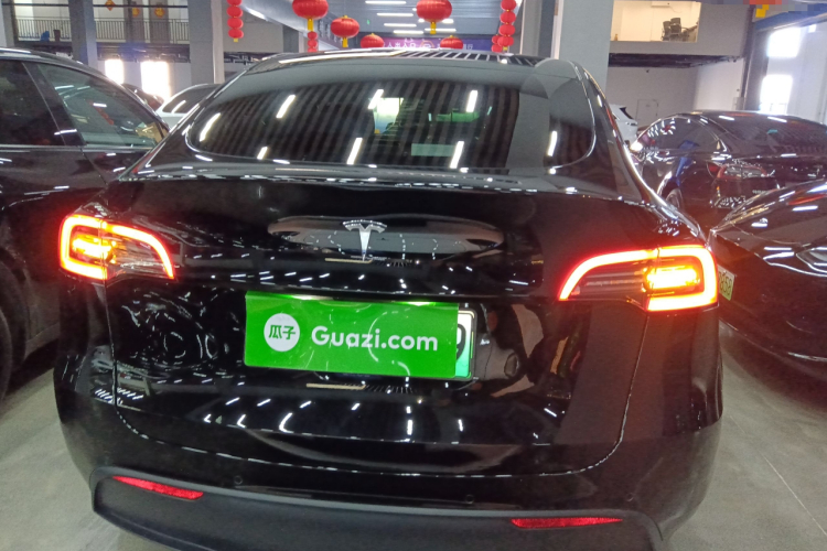 特斯拉 Model Y 2021款 标准续航后驱版车身外观6004
