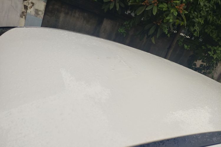 福特 福克斯 2012款 两厢 1.6L 自动舒适型局部细节57