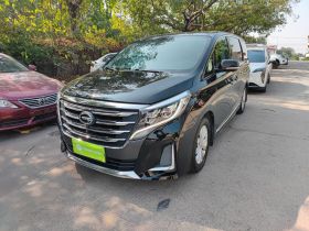 广汽传祺 传祺M8 2020款 领航款 390T 尊享版