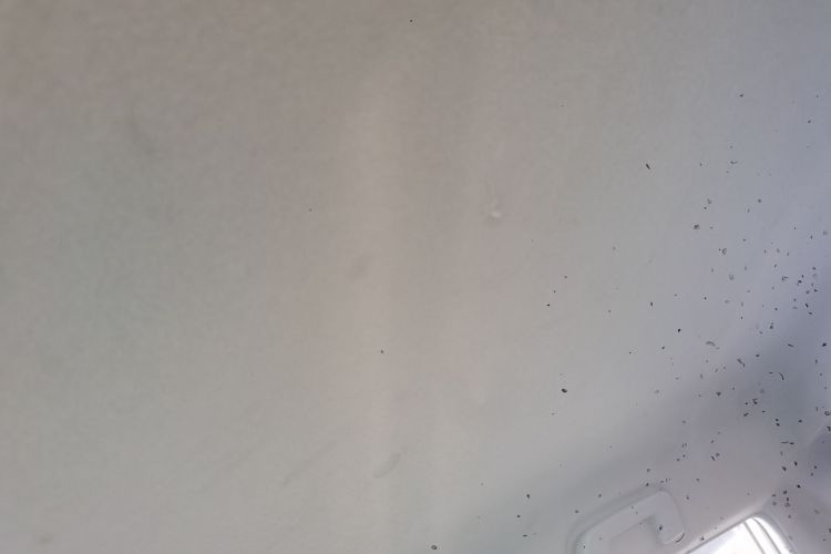 丰田 YARiS L 致炫 2019款 1.5E CVT魅动版 国VI中控内饰22