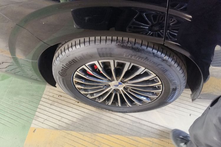 腾势D9 2024款 DM-i 980 四驱旗舰型车身外观6008