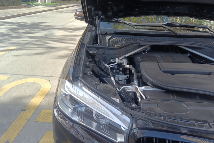 宝马X5(进口) 2018款 xDrive28i局部细节9006