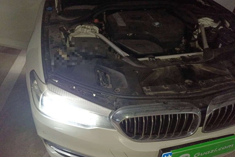 宝马5系 2019款 525Li 豪华套装局部细节9006