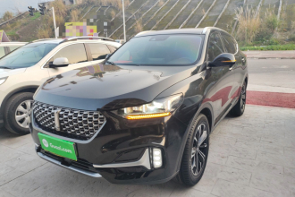 魏牌 VV6 2021款 2.0T 两驱智护+