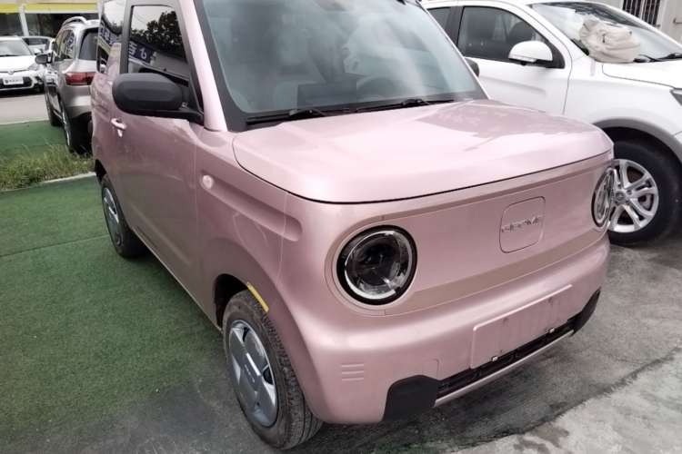 吉利汽车 2023款 熊猫mini 200km 耐力熊车身外观3