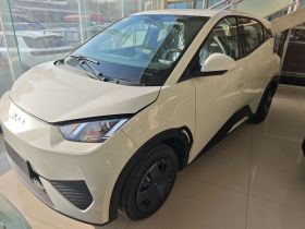 比亚迪 海鸥 2025款 305km 活力版