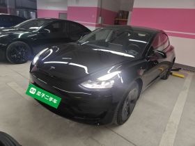 特斯拉 Model 3 2021款 改款 标准续航后驱升级版 3D1