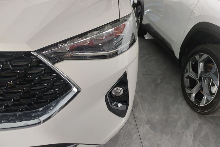 哈弗F7x 2019款 2.0T 两驱极智潮玩版车身外观36