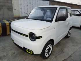 吉利银河 熊猫 2025款 210km 元气熊