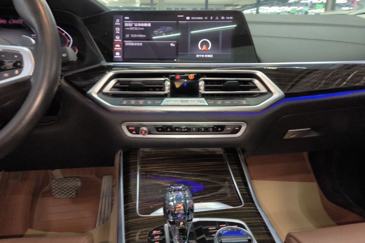 宝马X5(进口) 2019款 xDrive40i 尊享型 M运动套装局部细节16
