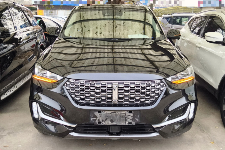 魏牌 VV6 2021款 2.0T 两驱智享+车身外观2