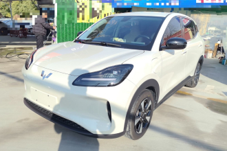 五菱汽车 五菱缤果PLUS 2024款 330km 五座版