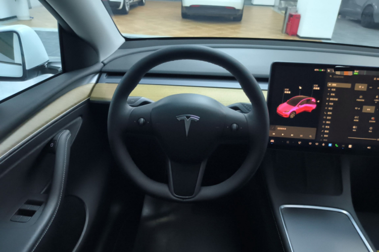 特斯拉 Model Y 2021款 长续航全轮驱动版局部细节13