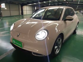 欧拉好猫 2023款 401km标准续航 豪华型 磷酸铁锂