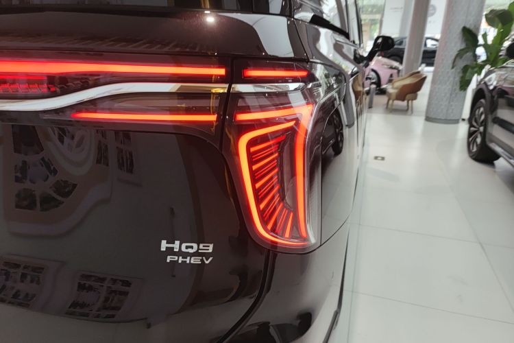 红旗HQ9 PHEV 2024款 2.0T 四驱豪华版车身外观6006