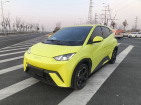 比亚迪 海鸥 2023款 自由版