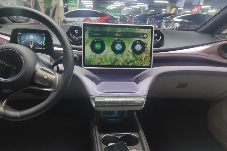 比亚迪 海豚 2021款 405km 自由版局部细节16