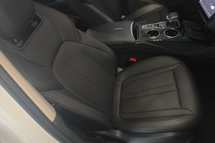 红旗HS3 PHEV 2024款 PHEV 115km 劲为版局部细节41