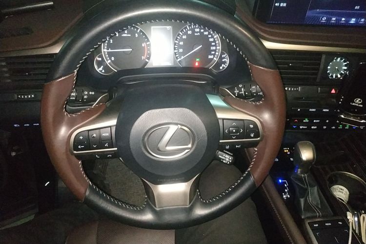 雷克萨斯RX 2021款 300 四驱特别版中控内饰13